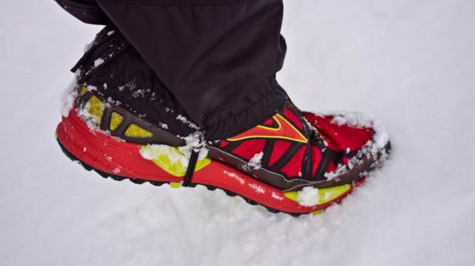 Brooks Cascadia 8 - Heel