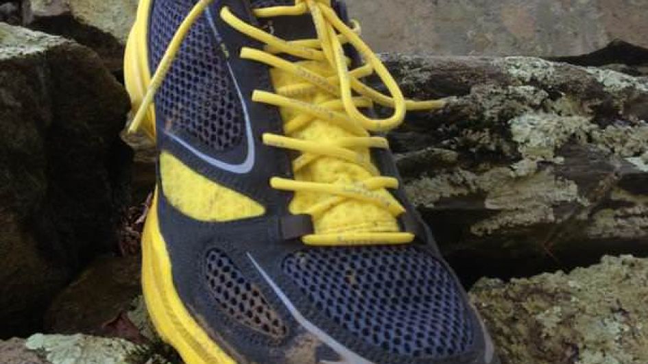ecco training shoes