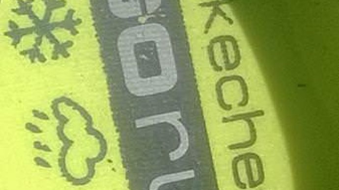 Skechers GoRun Extreme - Logo