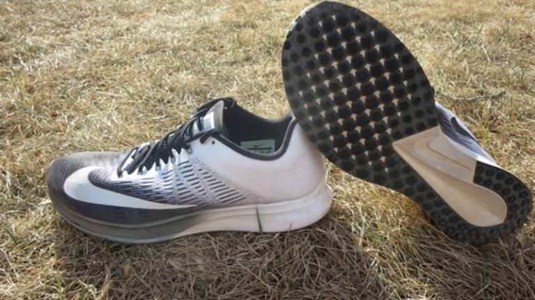 zoom elite 10