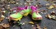 Newton Distance Elite - Pair