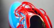 Icebug Acceleritas4 OCR LE - Lace