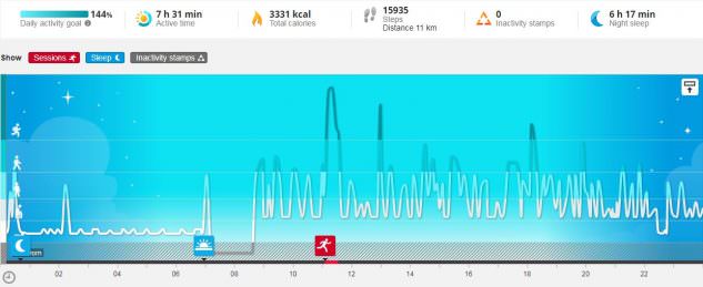 Polar Daily Activity