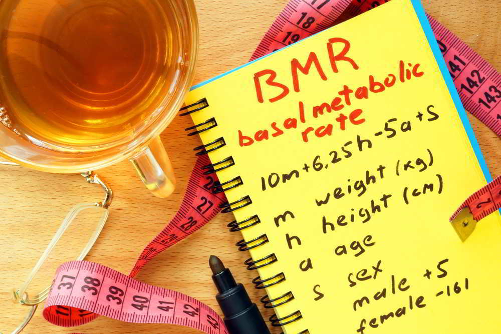 2. Basal Metabolic Rate