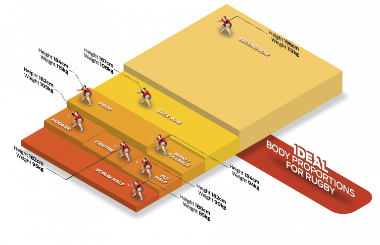 How BMI Impacts Sports and How Much You Should Depend on It | Running ...