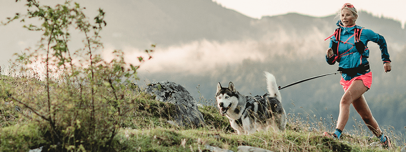 Canicross is a growing sport