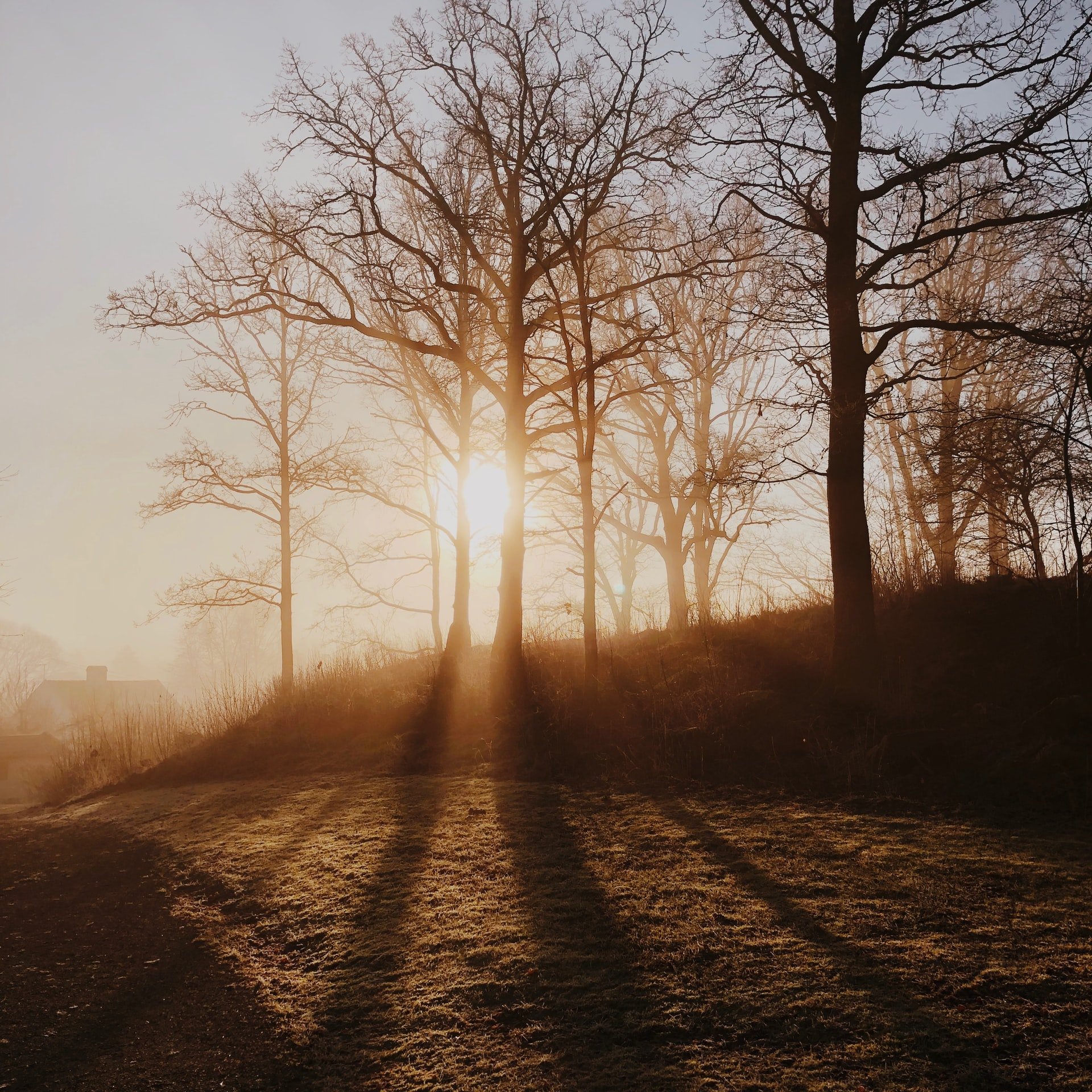 Run in the mornings