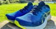 ASICS GEL-Nimbus Lite 3 - pic 16