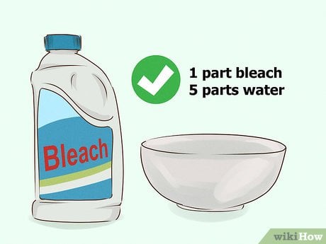 Bleach and water mix