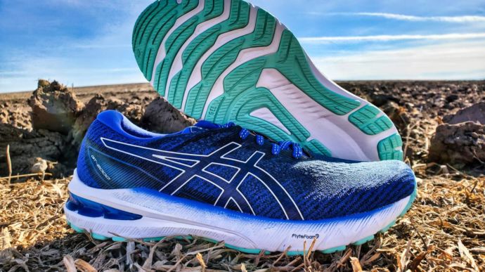 ASICS GT 2000 10 - pic 20