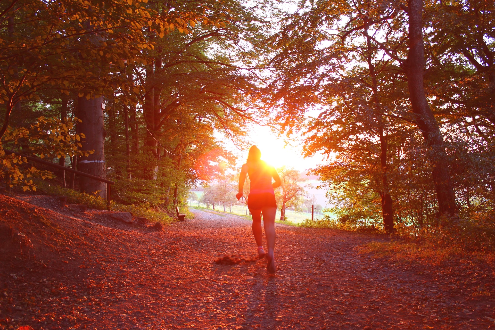 Woman running amongst the trees in organs sunset and leaves all over the floor