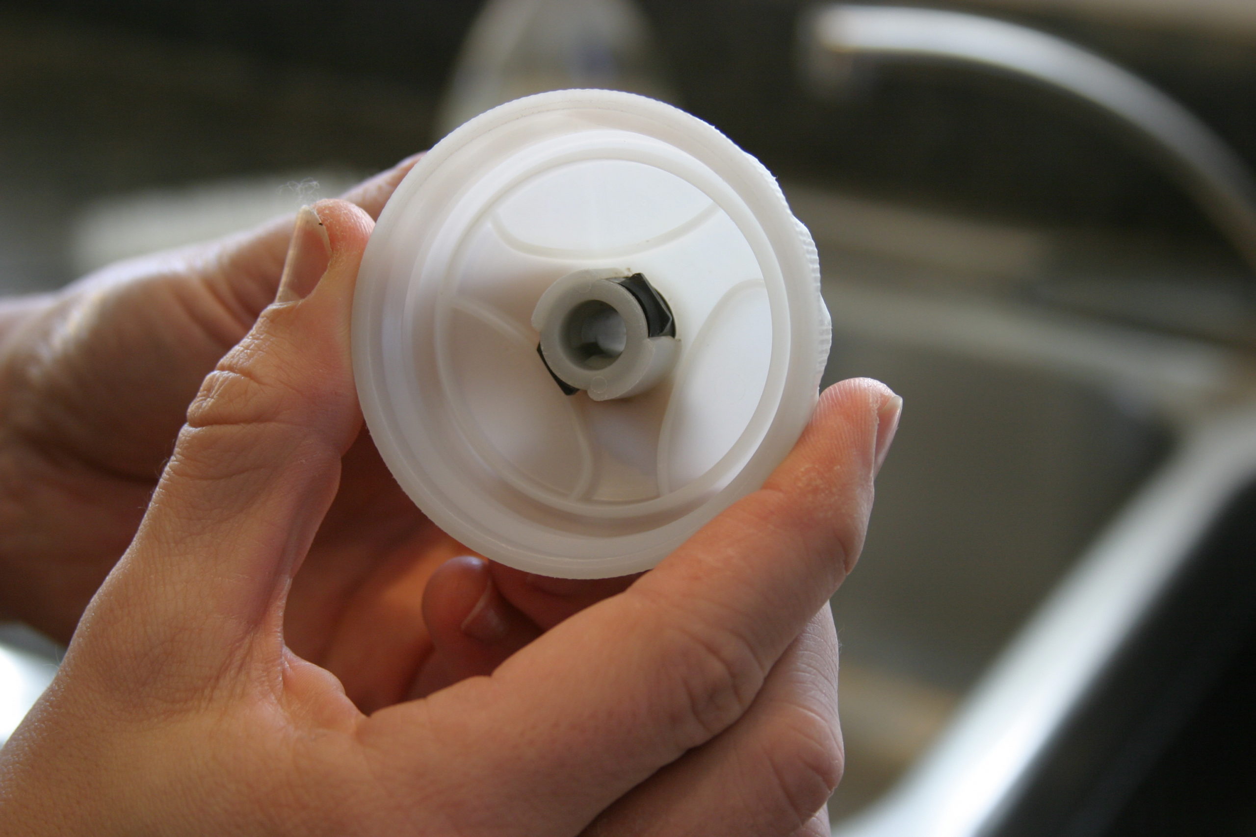 Clean the bottle cap from mould and bacteria