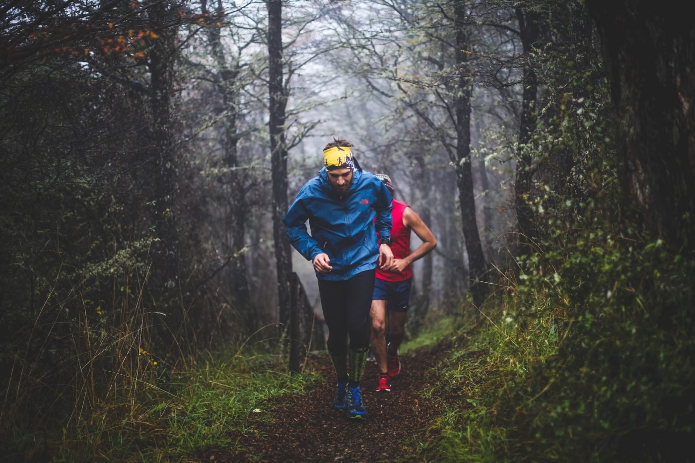 Running the trails in the Forrest a male and female runner