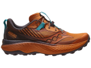 This is a picture of the Saucony Endorphin Edge