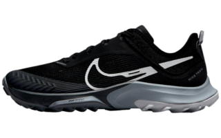 nike pegasus trail vs terra kiger