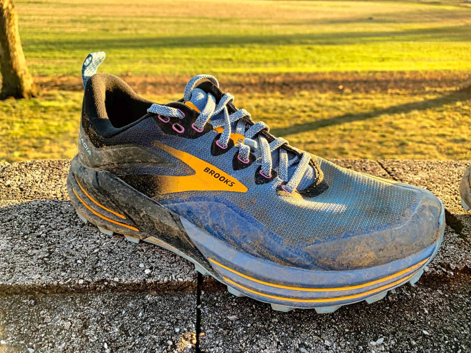 Le test détaillé de la Brooks Cascadia 16