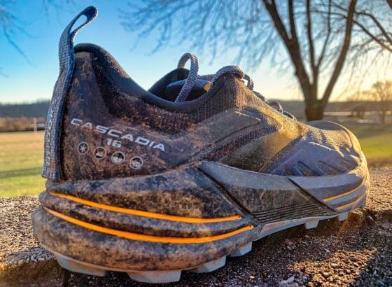 Picture of Brooks Cascadia 16
