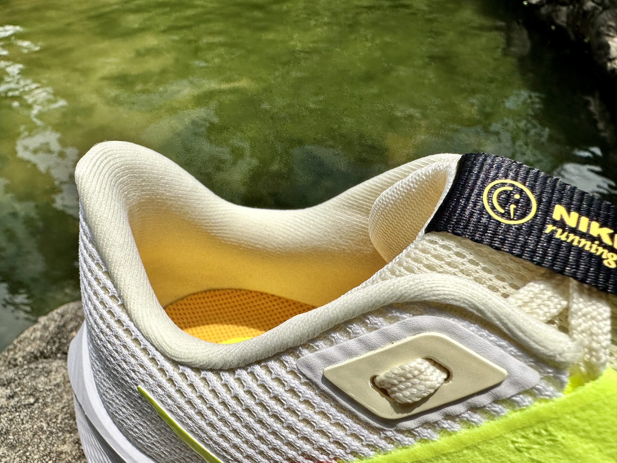 nike zoom pegasus 10