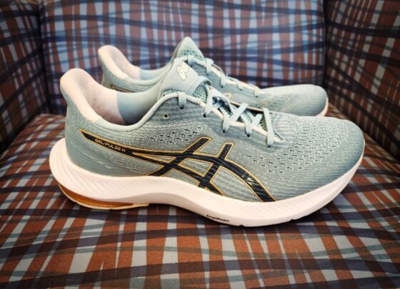 Picture of Asics Gel-Pulse 14