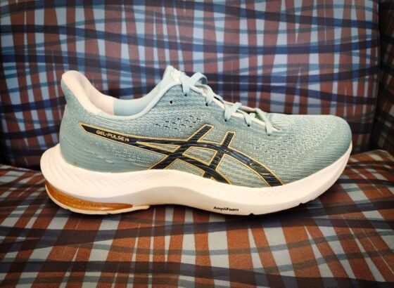 Picture of Asics Gel-Pulse 14