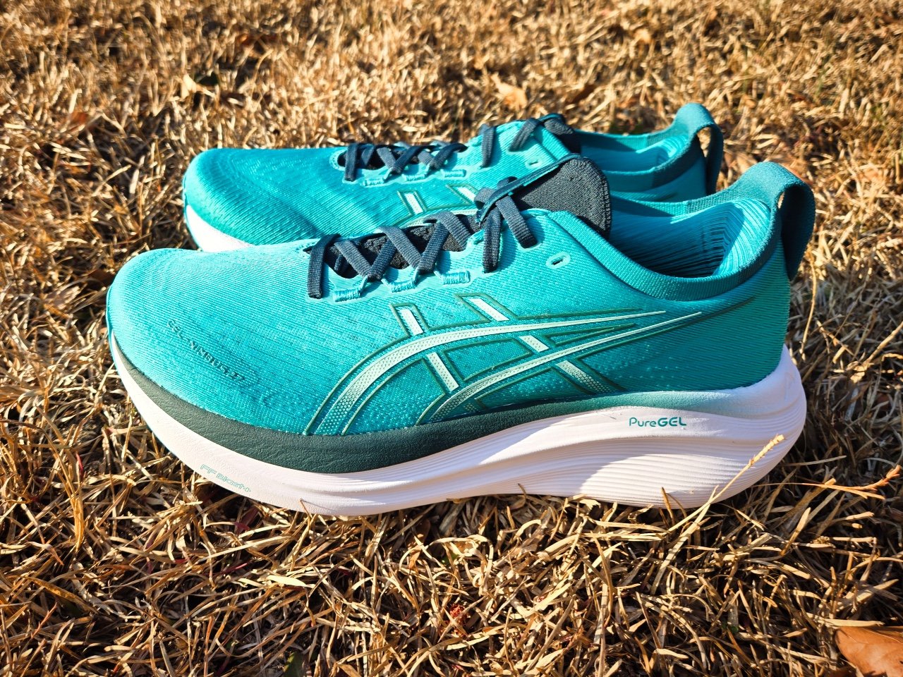 ASICS Gel Nimbus 27 Assessment