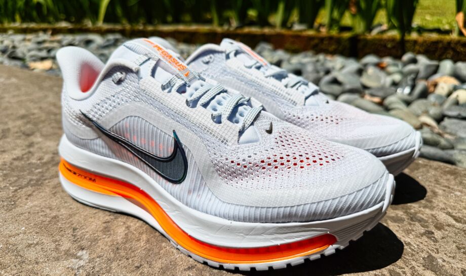 Nike Pegasus Premium Review