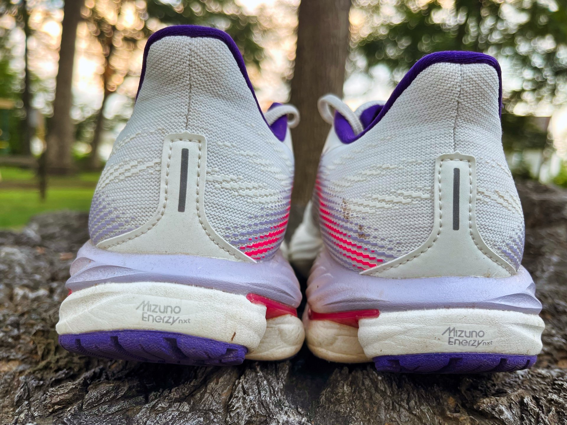 Picture of Mizuno Wave Inspire 21