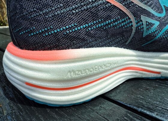 Picture of Mizuno Wave Rider 29