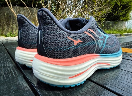Picture of Mizuno Wave Rider 29