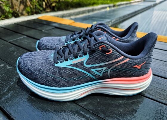 Picture of Mizuno Wave Rider 29