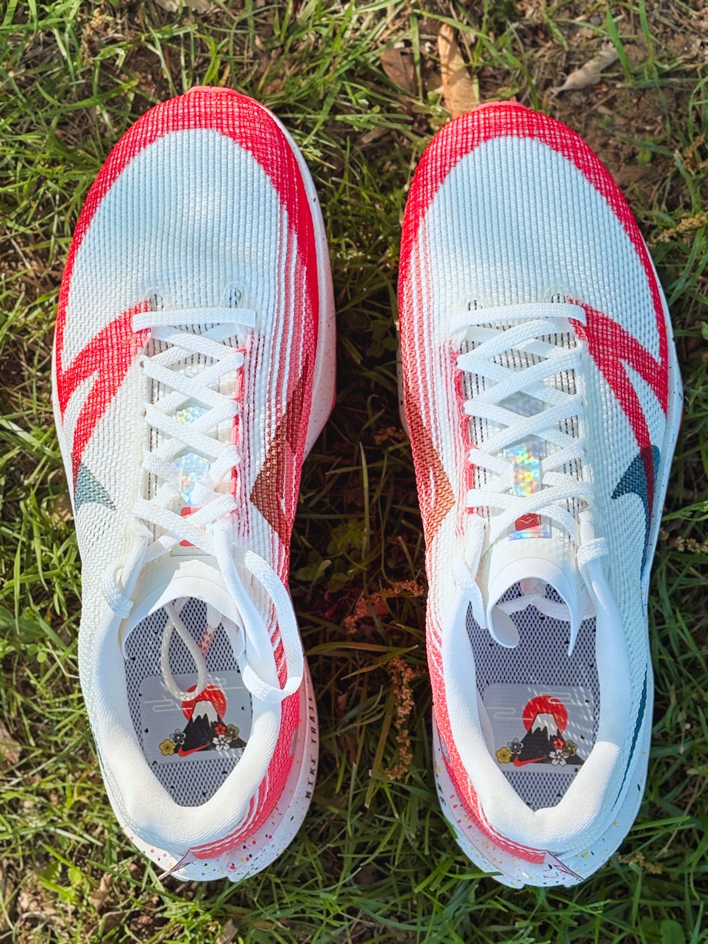 Picture of Nike Terra Kiger 10