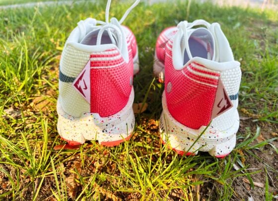 Picture of Nike Terra Kiger 10