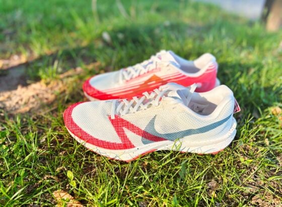 Picture of Nike Terra Kiger 10