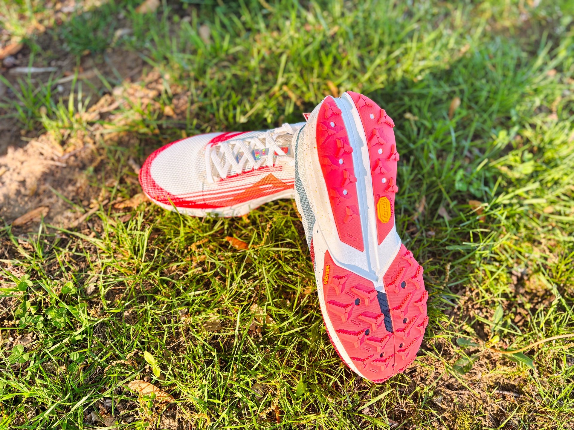 Picture of Nike Terra Kiger 10