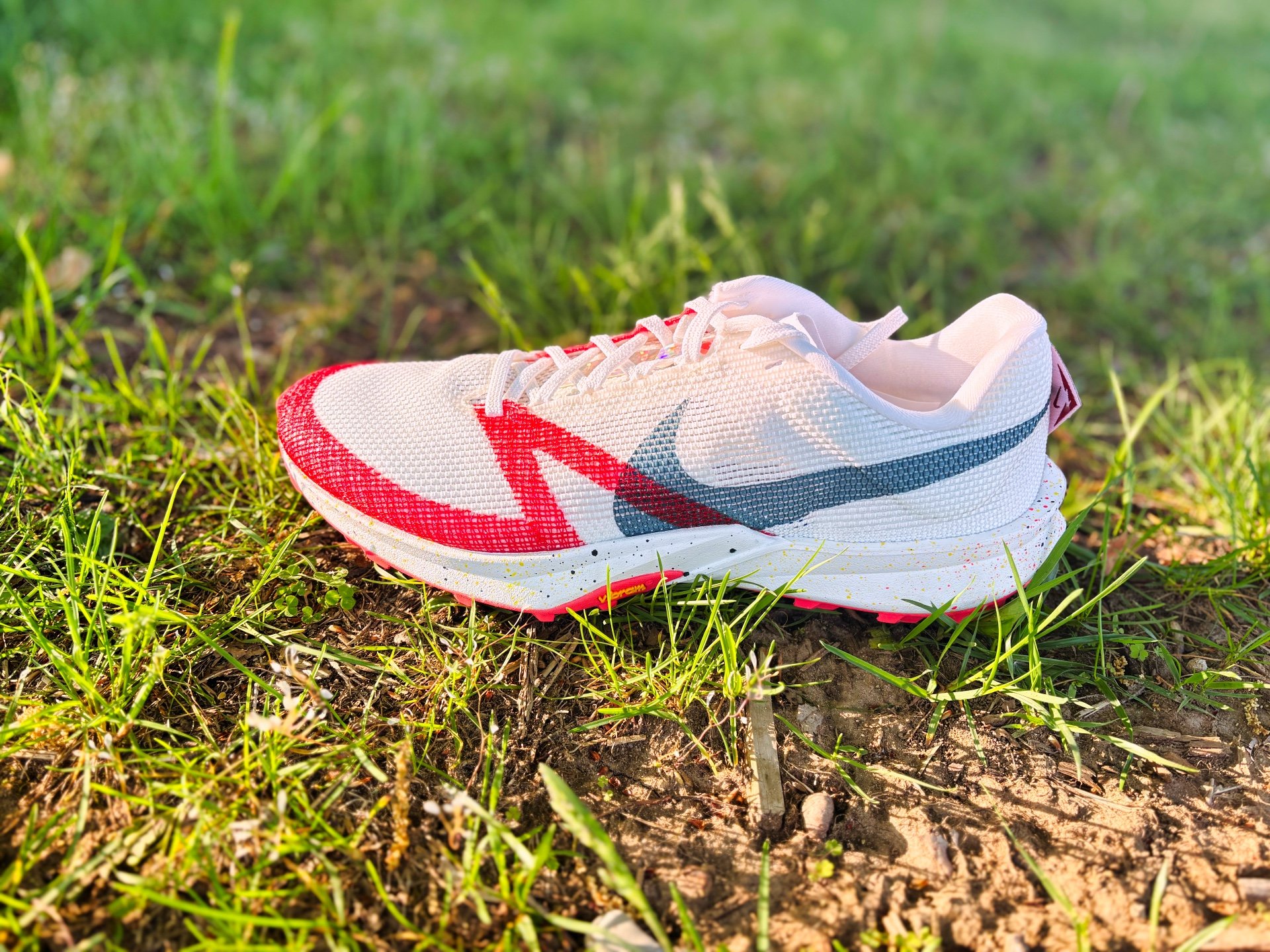 Picture of Nike Terra Kiger 10