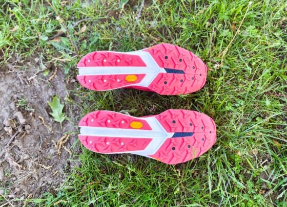 Picture of Nike Terra Kiger 10