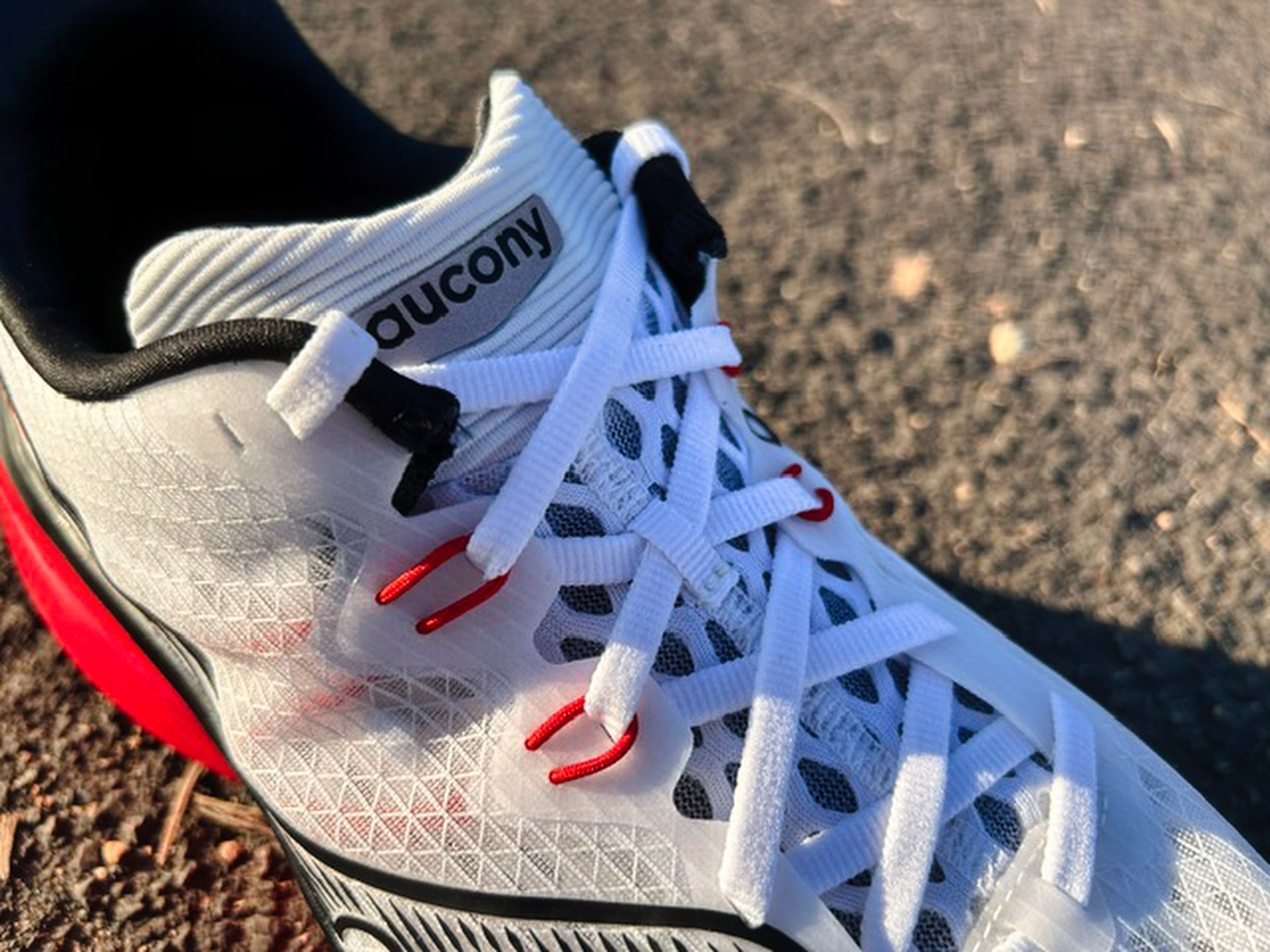 Picture of Saucony Kinvara 16