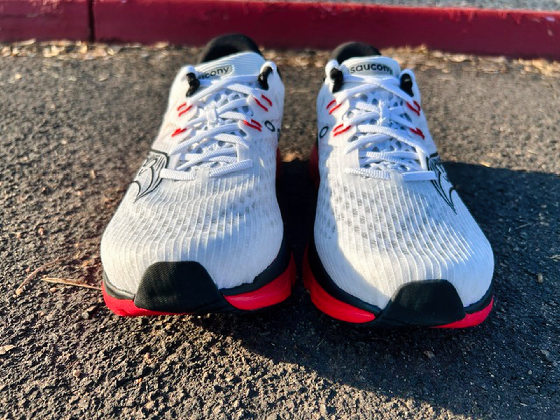 Picture of Saucony Kinvara 16