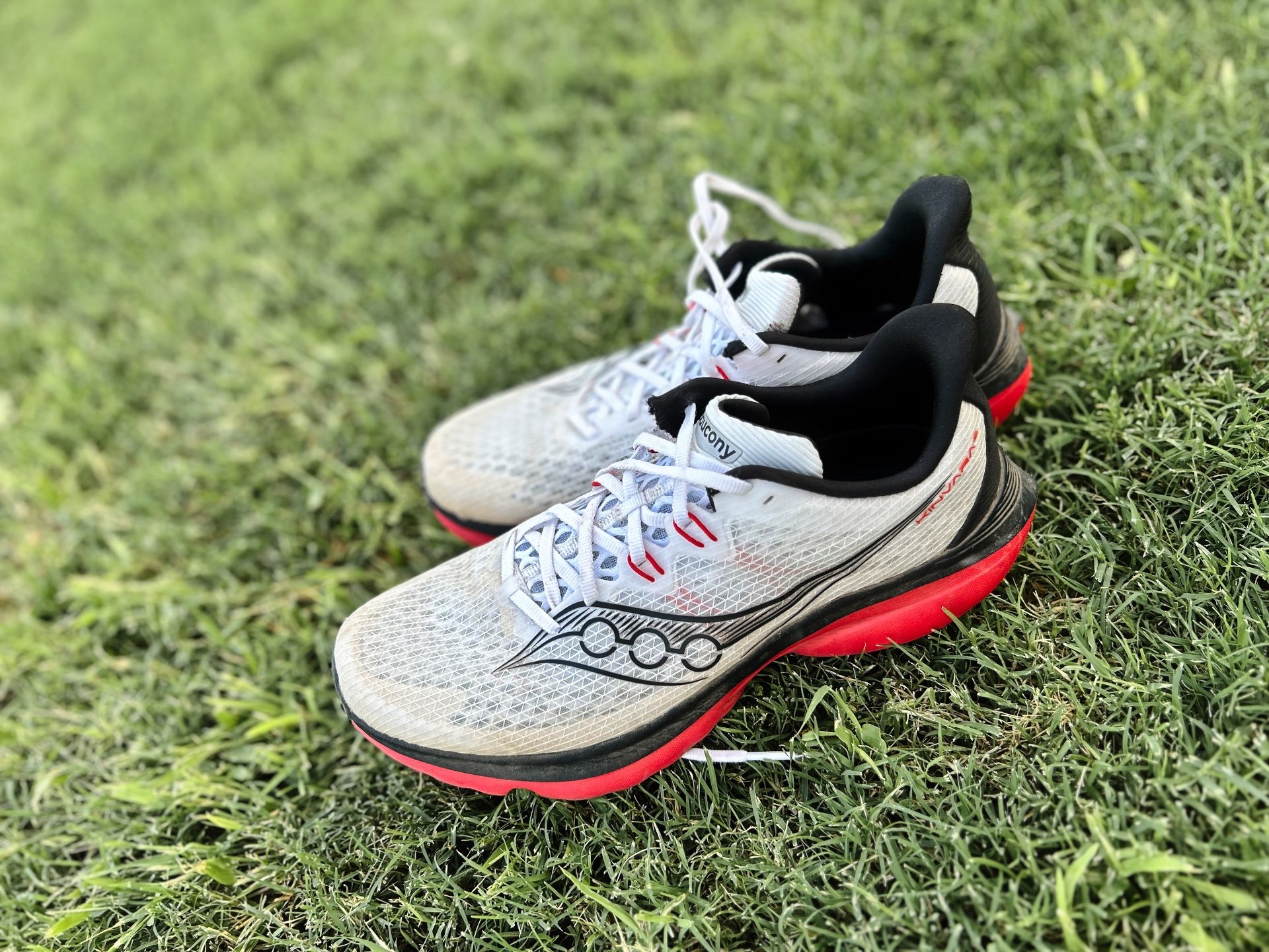 Picture of Saucony Kinvara 16