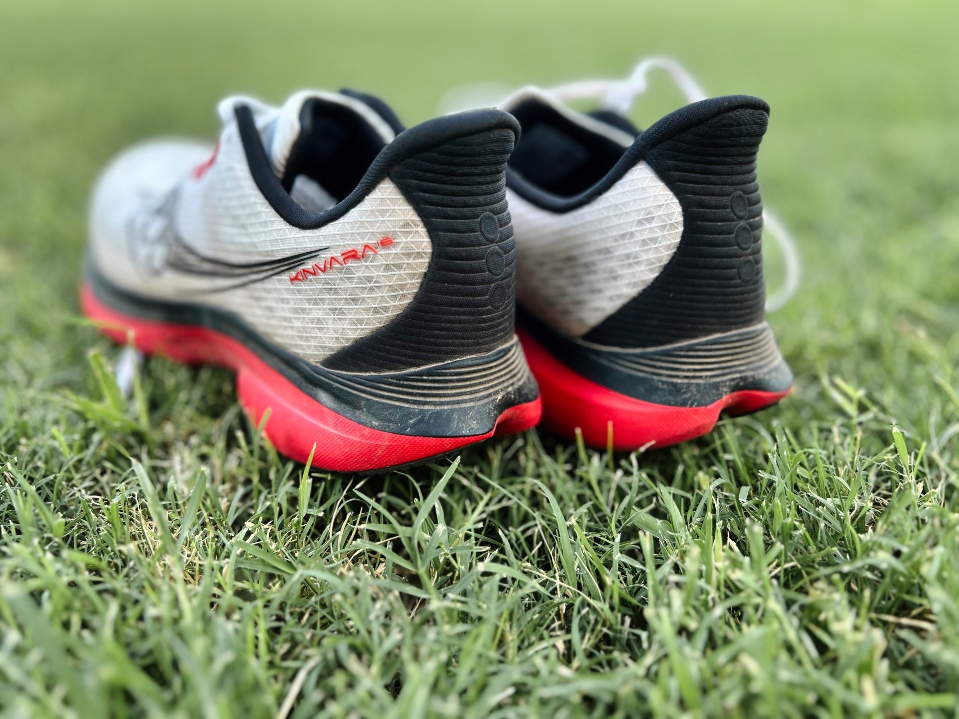 Picture of Saucony Kinvara 16