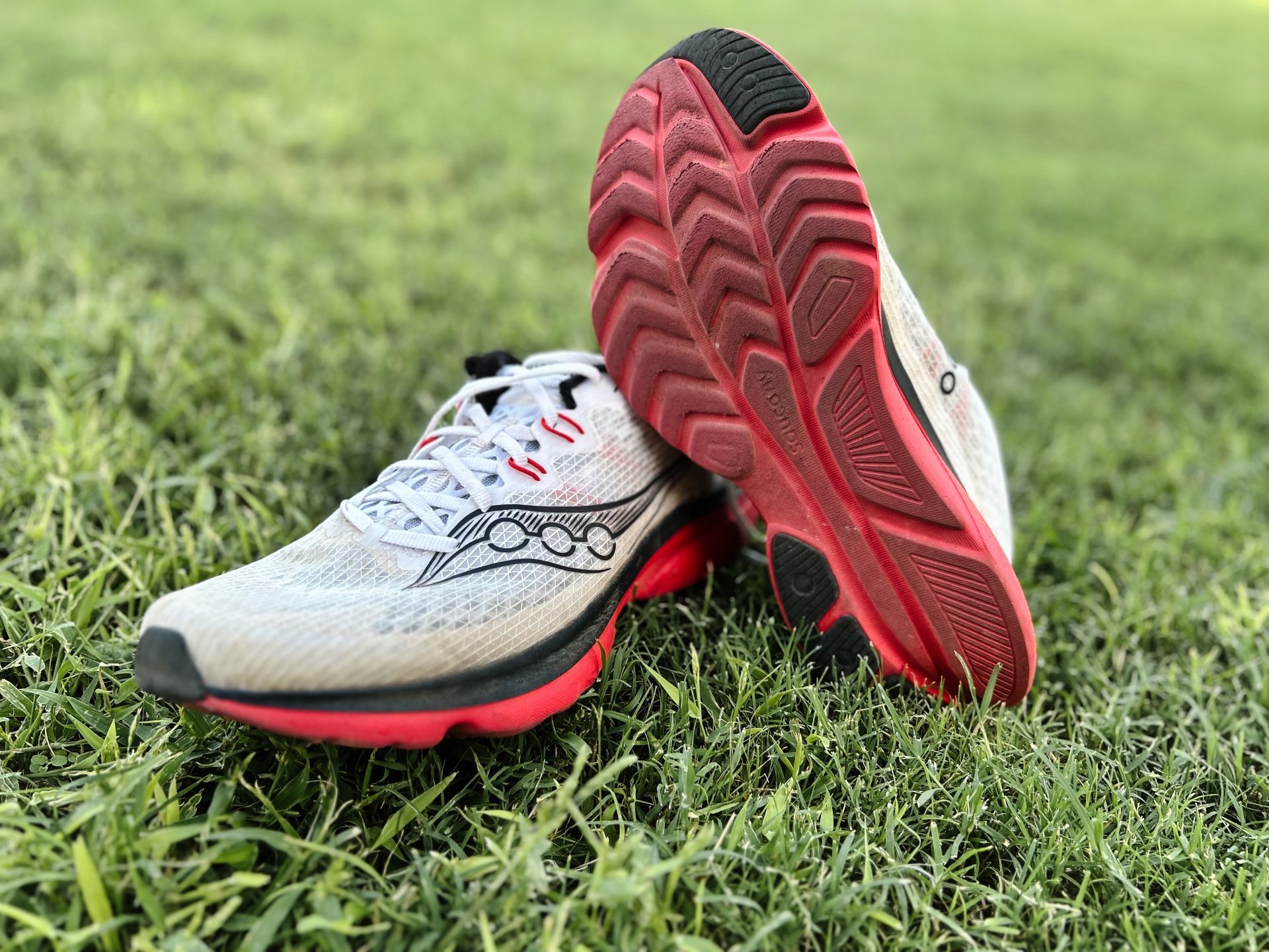 Picture of Saucony Kinvara 16