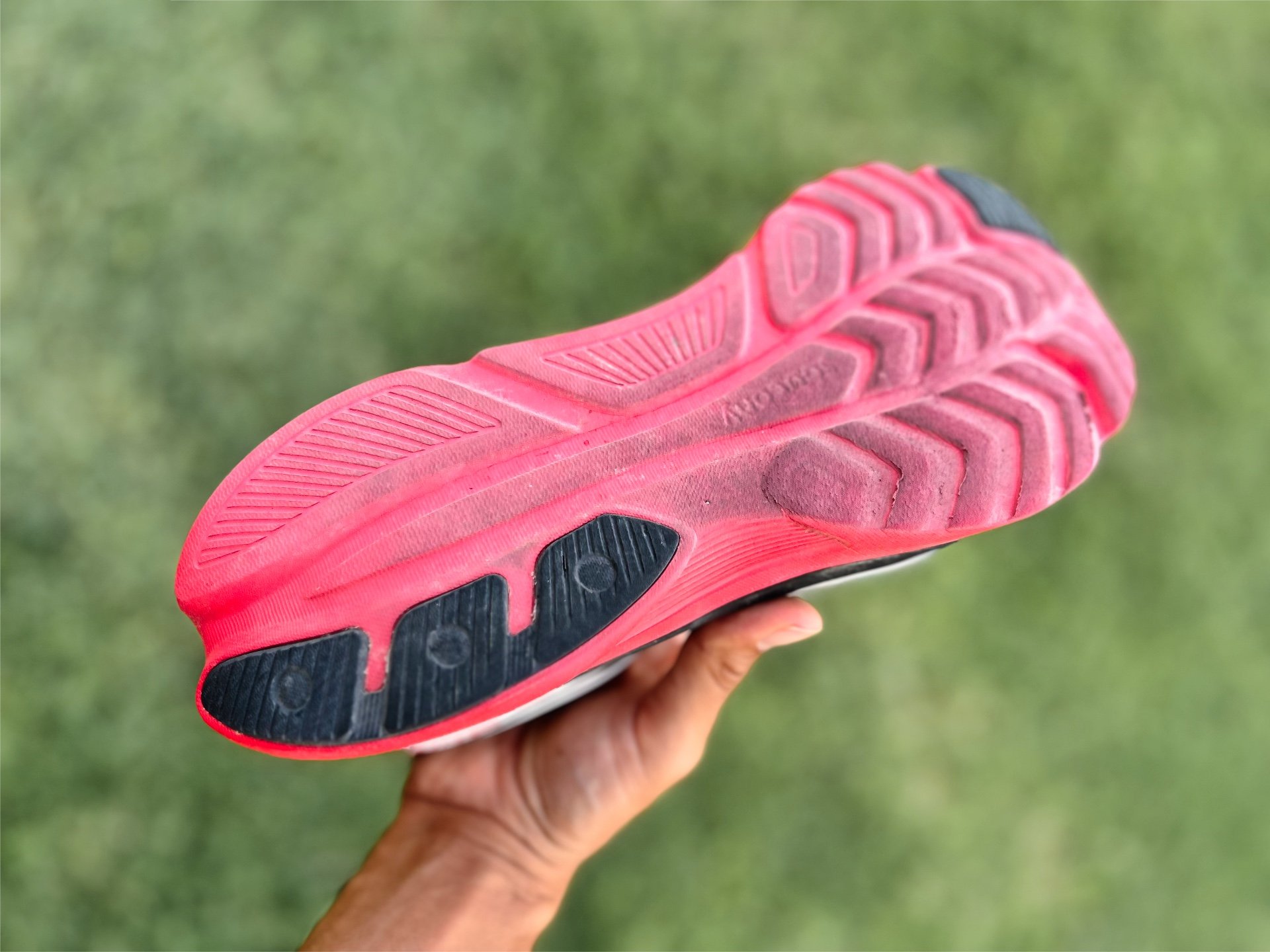 Picture of Saucony Kinvara 16