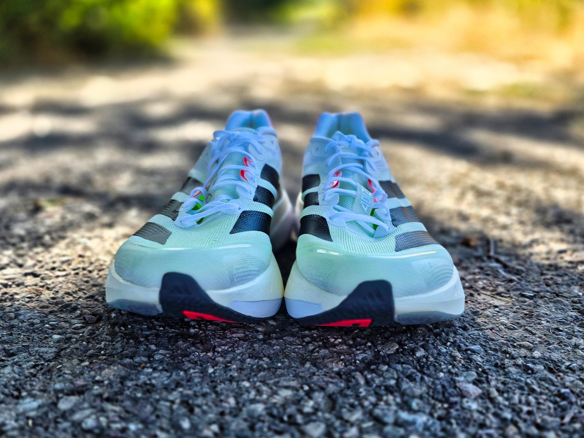Picture of adidas adizero Boston 13