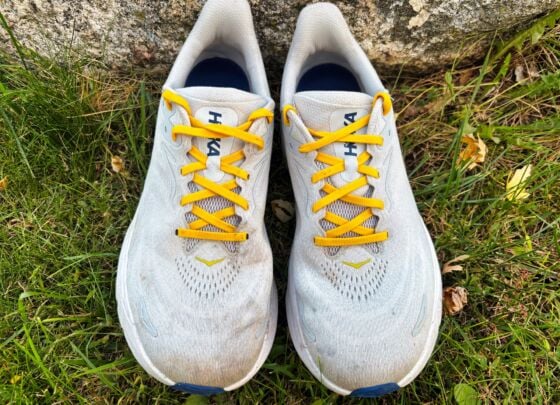 Picture of HOKA Arahi 8