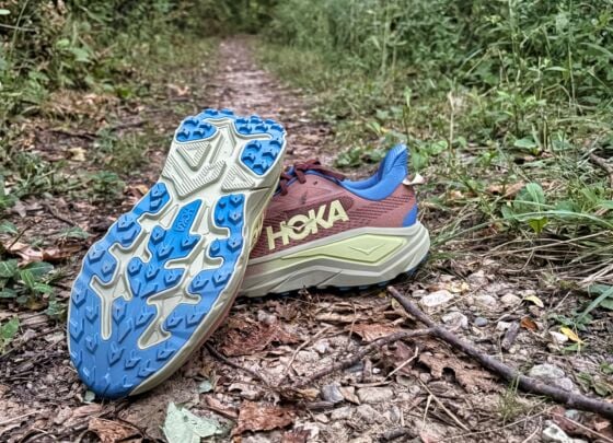 Picture of HOKA Challenger 8