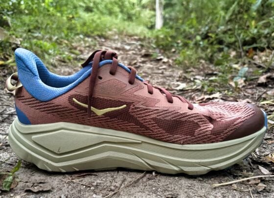 Picture of HOKA Challenger 8