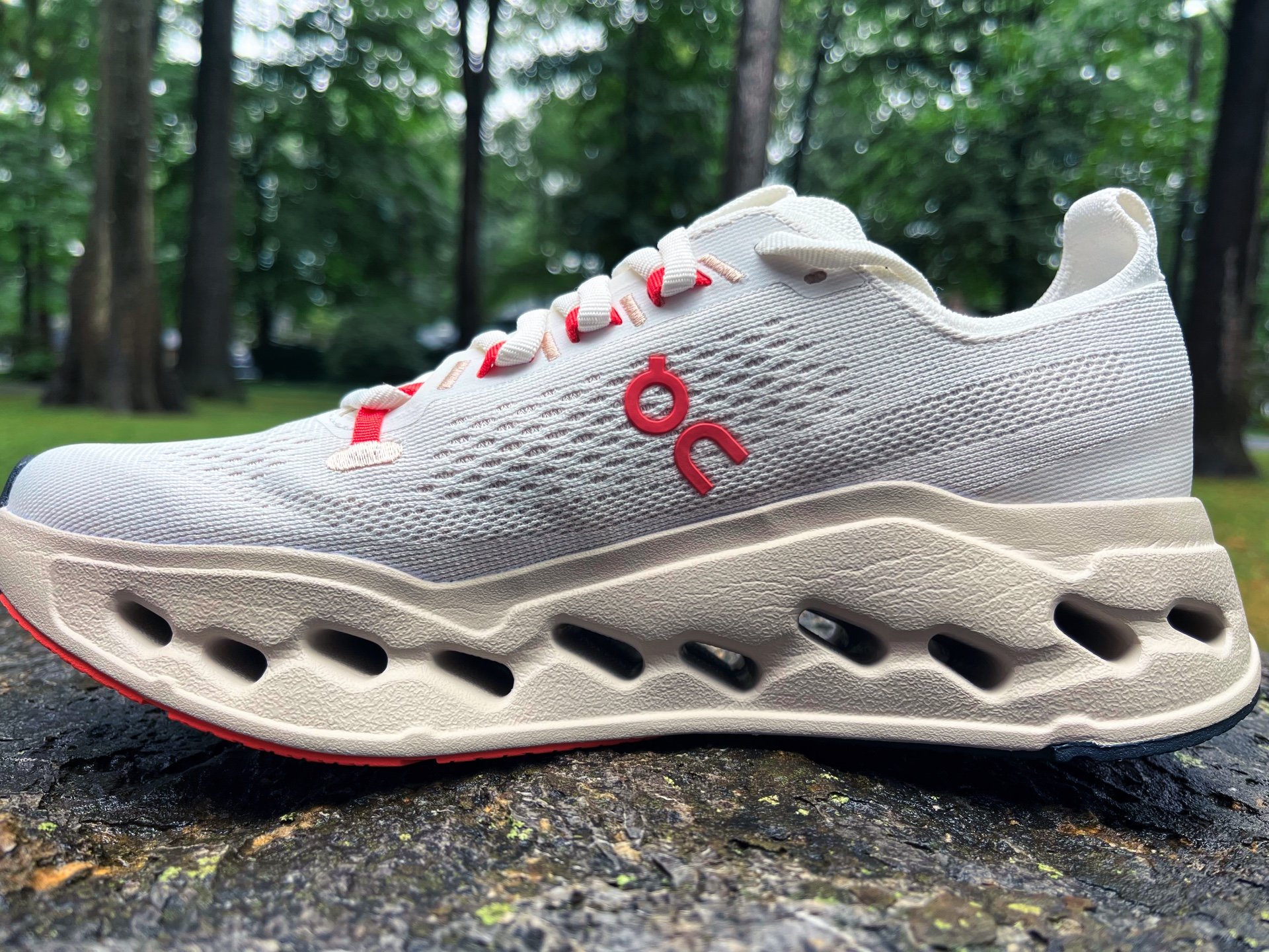 Picture of On Cloudsurfer Max