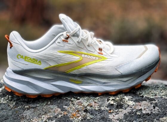 Picture of Brooks Cascadia 19