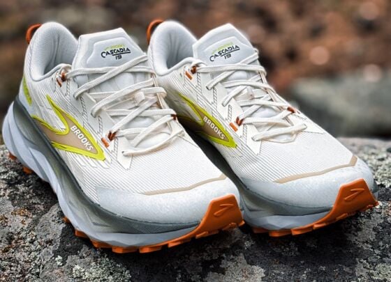 Picture of Brooks Cascadia 19