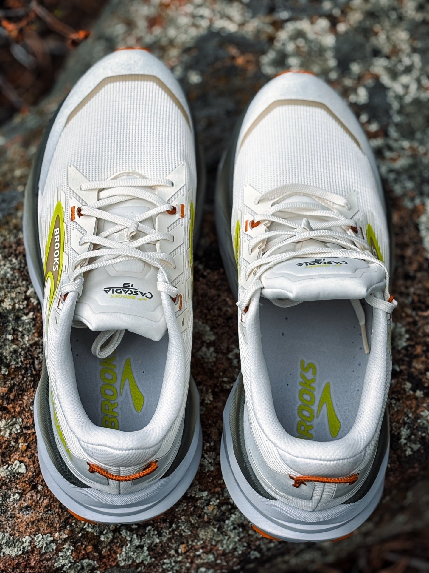 Picture of Brooks Cascadia 19